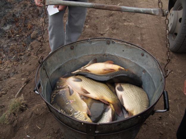 Interesant II :P - 13019135671843976656-s-a-deschis-balta-de-pescuit-6-fundulea-romania.jpg